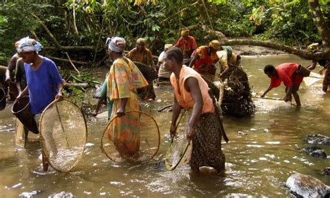 life in the congo today.